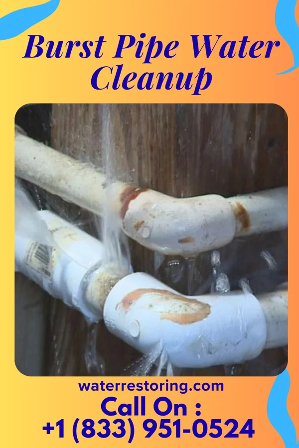 Burst Pipe Water Cleanup in Port Huron, MI