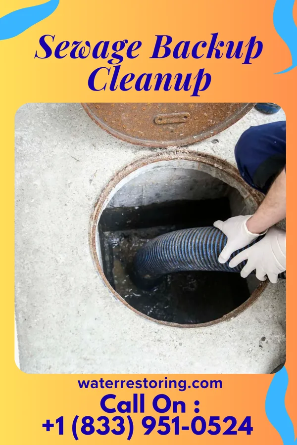 Sewage Backup Cleanup in Port Huron, MI